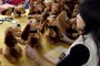 Кризата затвори половината фабрики за играчки в Китай 