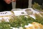 В Албания задържаха 555 кг. марихуана
