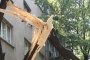 Огромно дърво падна на улица във Варна