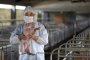 Първи случай на свински грип в Пекин, трети за Китай 