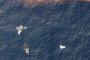 Бразилският флот откри стабилизатора на катастрофиралия самолет 
