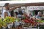 Турция ни залива с евтини домати