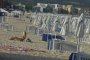 5000 искат: Спасете плажа на Слънчев бряг