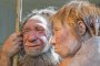 ДНК разкрива улики за изчезването на неандерталците
