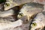 Хванаха 1,6 тона незаконна риба в Шумен