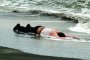 Мъртъв бизнесмен изплува край Созопол