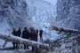 23 сигнала за паднали дървета в София