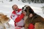 Кучето от Бойко Борисов пребори Владимир Путин