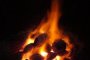 Огнен ад в Рисиманово, 100 животни изгоряха живи