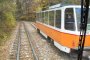 Ще секат ли от гората на Семинарията заради новия трамвай?