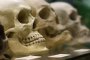 Откриха над 50 човешки черепа в дома на австриец