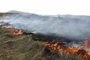 Адски пожар край Варна, застрашен е цех