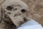Откриха оголен човешки череп до Ловеч