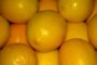 16 тона контрабандни лимони задържаха на Капитан Андреево