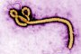 ООН: Нужни са 6 месеца, за да бъде победена епидемията от ебола
