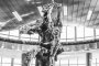  Скулптурата на Орфей на летището е успешен бранд за България 