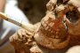Откриха следи от праисторическо клане в Европа