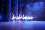 Лебедово езеро с оригинална хореография на Мариус Петипа 