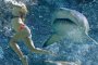 Австралия бори акулите чрез модерните технологии