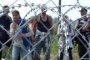 Свински глави да плашат бежанците по границата, предложи унгарски евродепутат