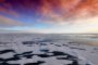  50 учени тръгват на мисия да изследват Земята чрез Антарктика
