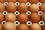 Изтеглят от магазините полски яйца със салмонела