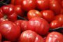   141% скочи вносът на домати, 2/3 от пазара окупиран от чужденците за 7 г.