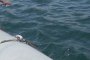  6 загинали при потъване на кораб в Черно море