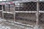   Животновъди готвят протест заради карантината над фермите
