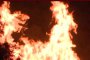    45 хил. бъчви с бърбън изгоряха в САЩ