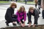   Захариева, Фандъкова и Берендина Мария Тен Тъшър засадиха лалета в София