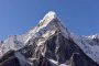 Растителността на Еверест се изкачва все по-високо, предупреждават учени 