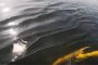 Как скъсан тръбопровод излива хиляди куб. метри фекални води във Варненското езеро
