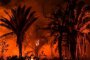 В бразилска Амазония бушуват най-големите пожари от 13 години 