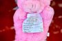 Розовите прасета в Хиполенд изкупени за часове като подкрепа: Бърз факт