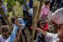 Засаждат над 1 000 дървета в 26 софийски училища