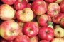  Шарените ябълки са най-полезни, зелените са по-диетични от червените: какво правим с времето в карантина