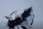 3 руски подводници изплуваха едновременно над леда в Арктика (Видео)