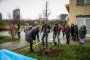 Засаждаме над 1000 дръвчета заедно с децата и учителите: Фандъкова