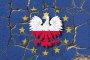 Полша застана начело на европейската контрареволюция: Австрийският нац. ежедневник Die Presse
