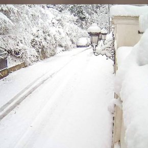 Сняг в Бояна