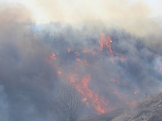 Голям пожар бушува край Дупница Част от АМ  Струма  е задимена предаде БГНЕС