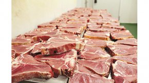Предстои издаване на разпореждане за унищожаване на месото с неясен произход, а материалите по случая са докладвани на Районната прокуратура в Плевен