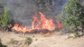 На същото място в Рила, в близост до река Илийца, през 2012 година избухна голям пожар, който унищожи близо 300 декара стари гори