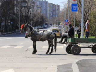 За пореден път градските власти в София забраниха превоза с