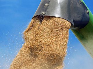 Световните цени на зърното спаднаха до априлски нива след обещанието