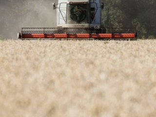 Британският министър на земеделието призова във вторник за незабавно разследване