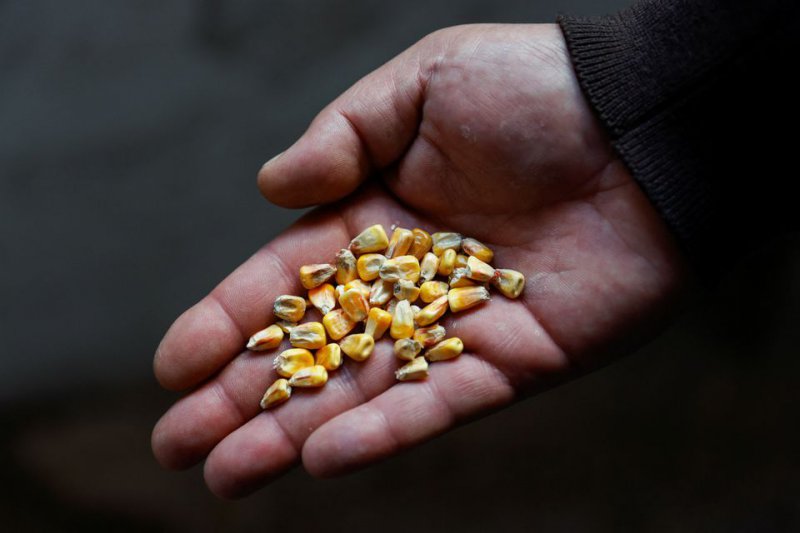 Усилията на Турция да облекчи световната продоволствена криза чрез договаряне