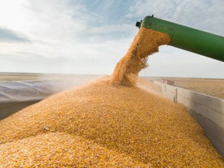 Русия започна да продава зърно в чужбина в национална валута