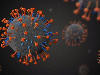 Нов китайски вирус плъзна в страната откъдето тръгна К19 Симптомите